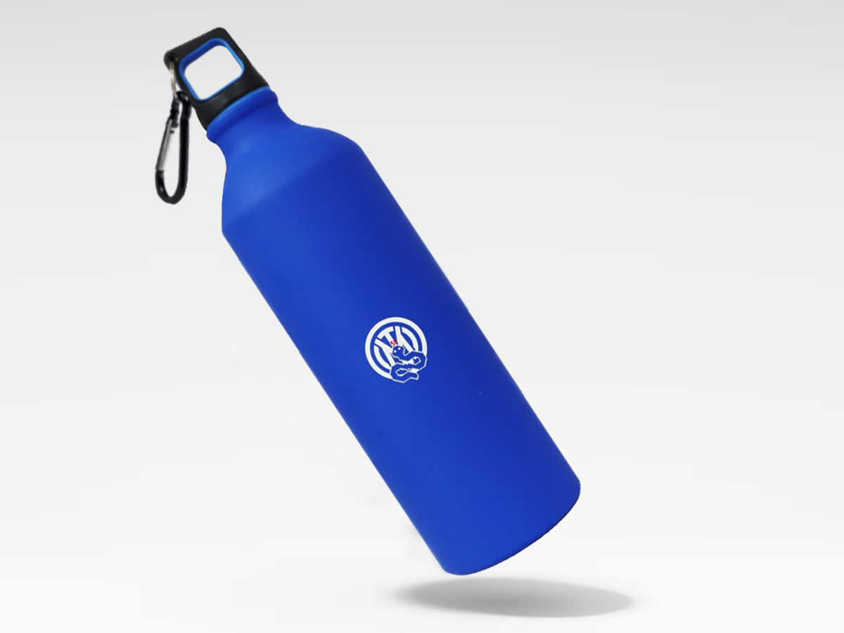 INTER BORRACCIA ALLUMINIO,800 ML | Ellepiu
