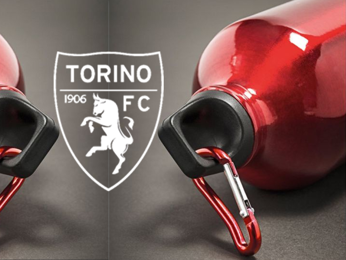 TORO BORRACCIA MOSCHETTONE, LOGO | Ellepiu